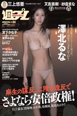 宠妃紧致h